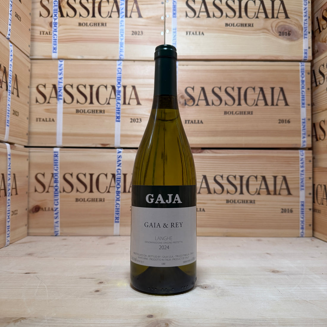 Gaja & Rey 2024