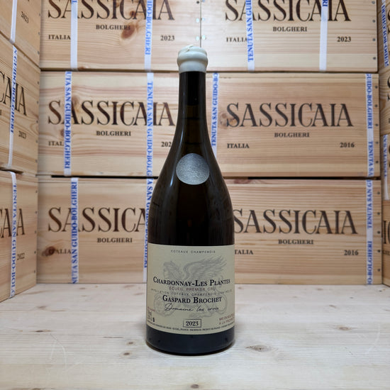 Gaspard Brochet Chardonnay-Les Plantes Coteaux Champenois Blanc 2023