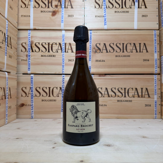 Gaspard Brochet Pinot Noir Le Lion Tome VII NFC - Deg. 01/2026