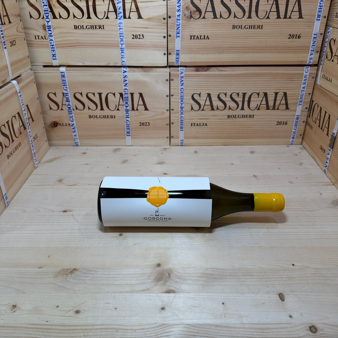Gorgona Bianco 2025