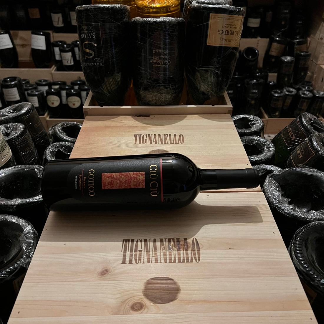 Gotico 2018 Rosso Piceno Superiore DOP BIO Ciù Ciù