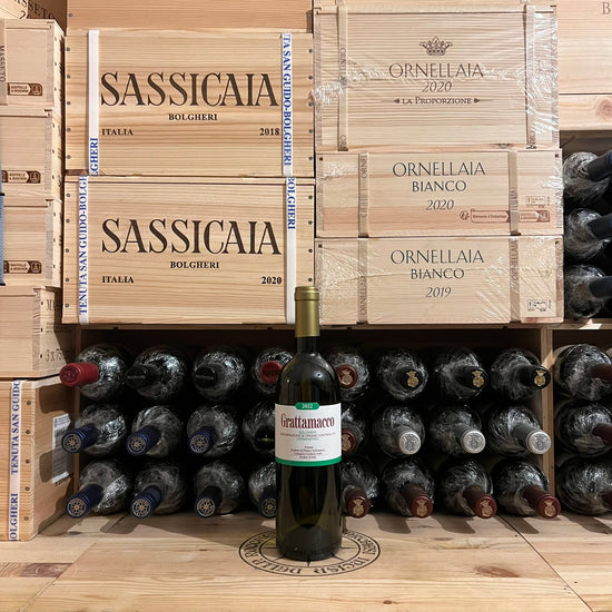 Grattamacco Vermentino Bolgheri DOC 2022 ColleMassari