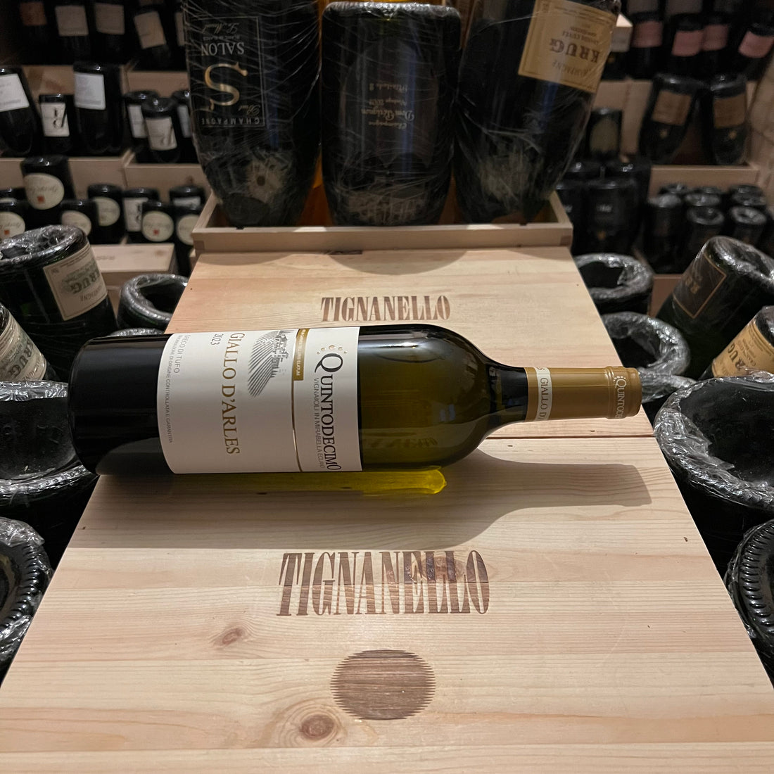 Greco di Tufo DOCG Giallo d’Arles 2023 Quintodecimo