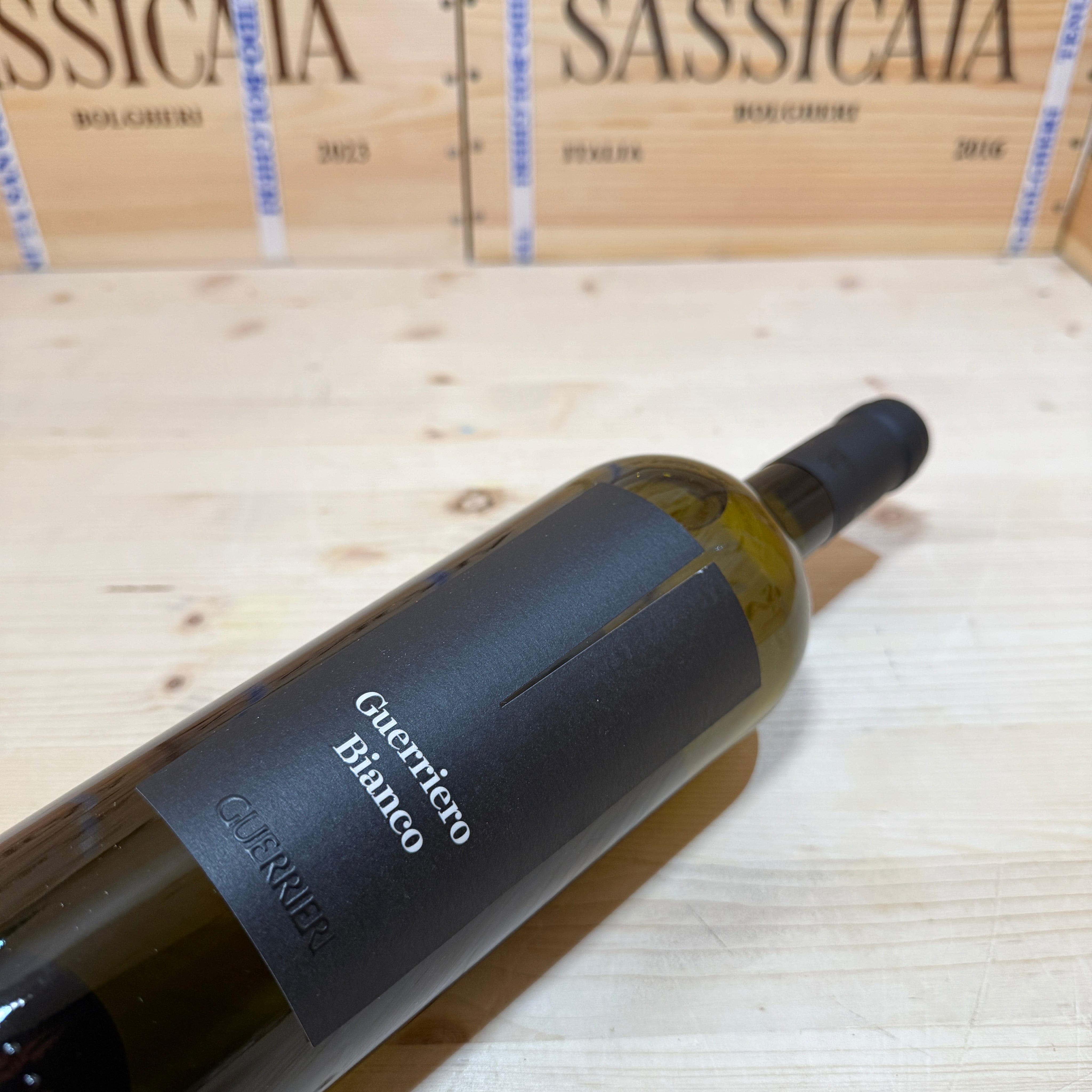 Guerriero Bianco 2024