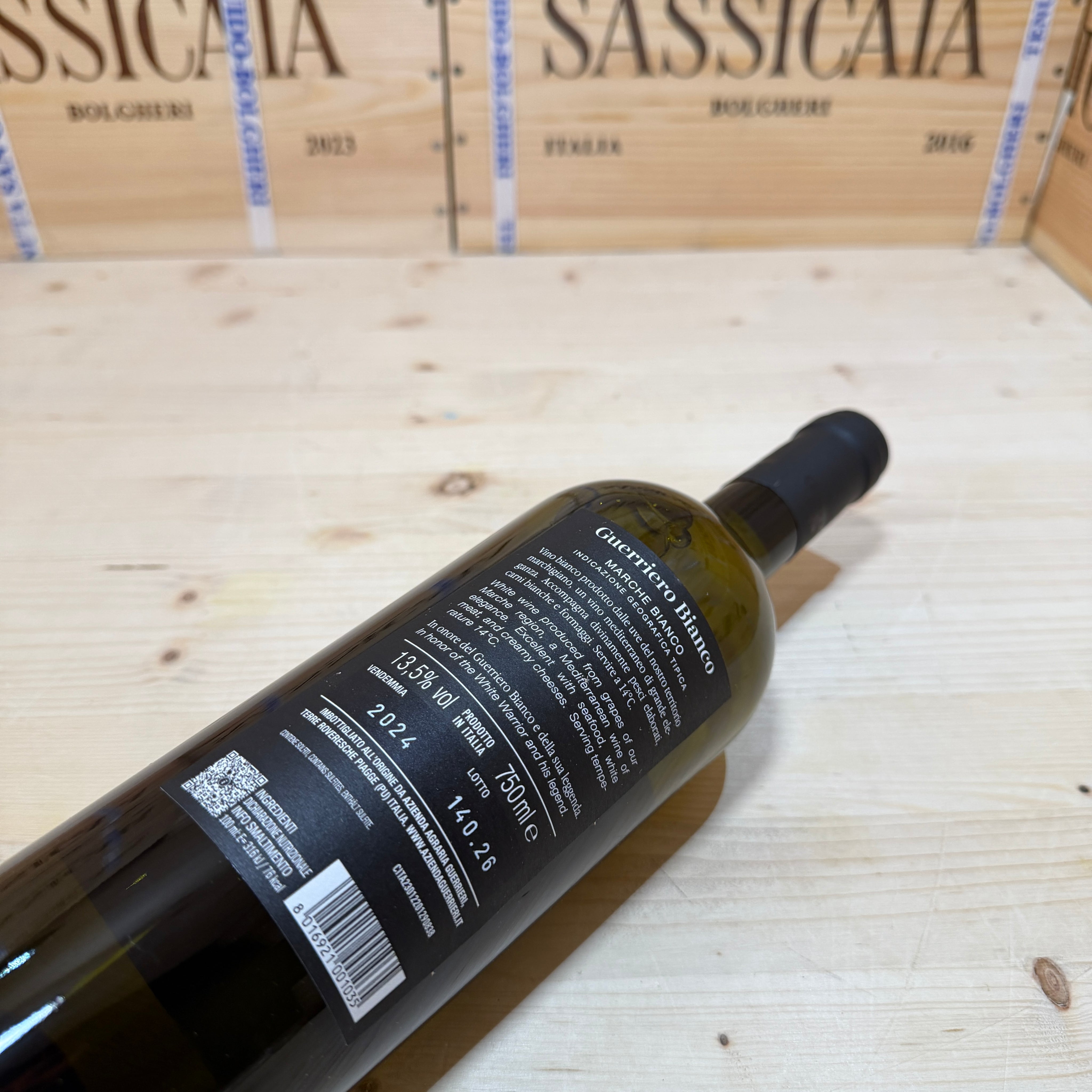 Guerriero Bianco 2024
