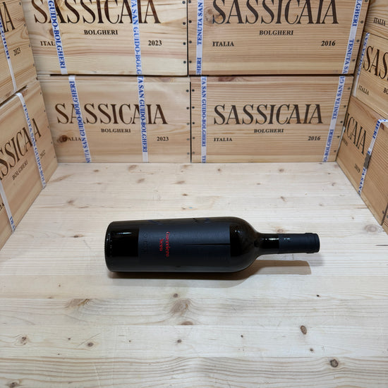 Guerriero Nero 2024