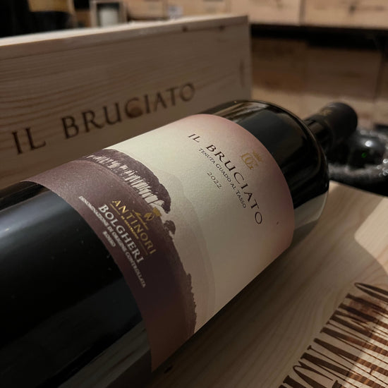 Il Bruciato 2022 Magnum in Cassa Legno Bolgheri Rosso DOC Tenuta Guado Al Tasso Marchesi Antinori