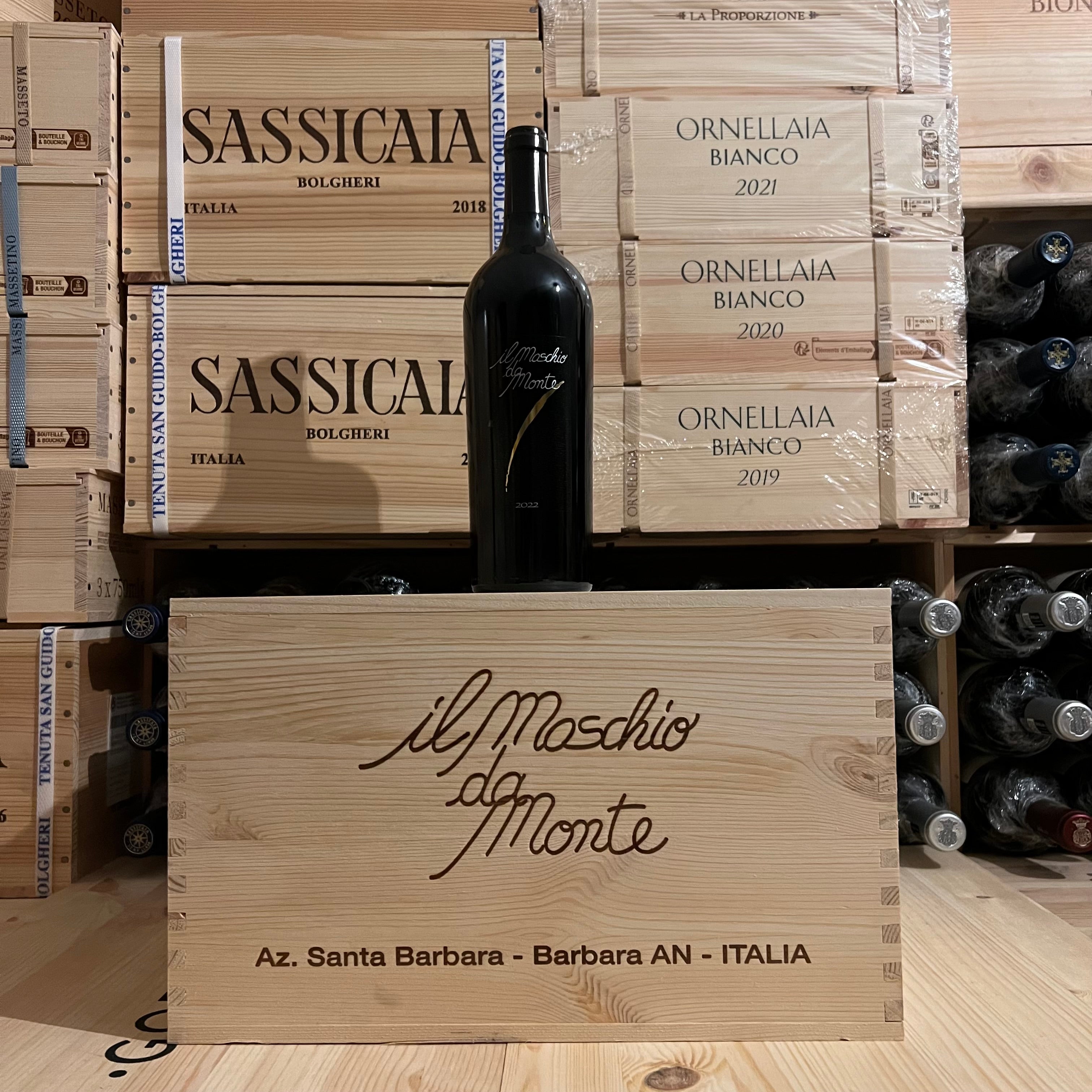 Il Maschio da Monte 2022 Rosso Piceno DOC Santa Barbara - Cassa Legno 6 Bottiglie