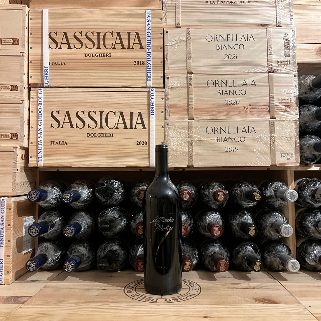 Il Maschio da Monte 2022 Rosso Piceno DOC Santa Barbara