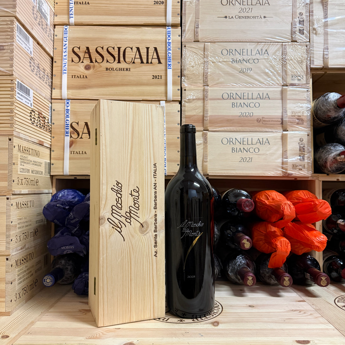 Il Maschio da Monte 2023 Magnum Rosso Piceno DOC Santa Barbara - in Cassa Legno