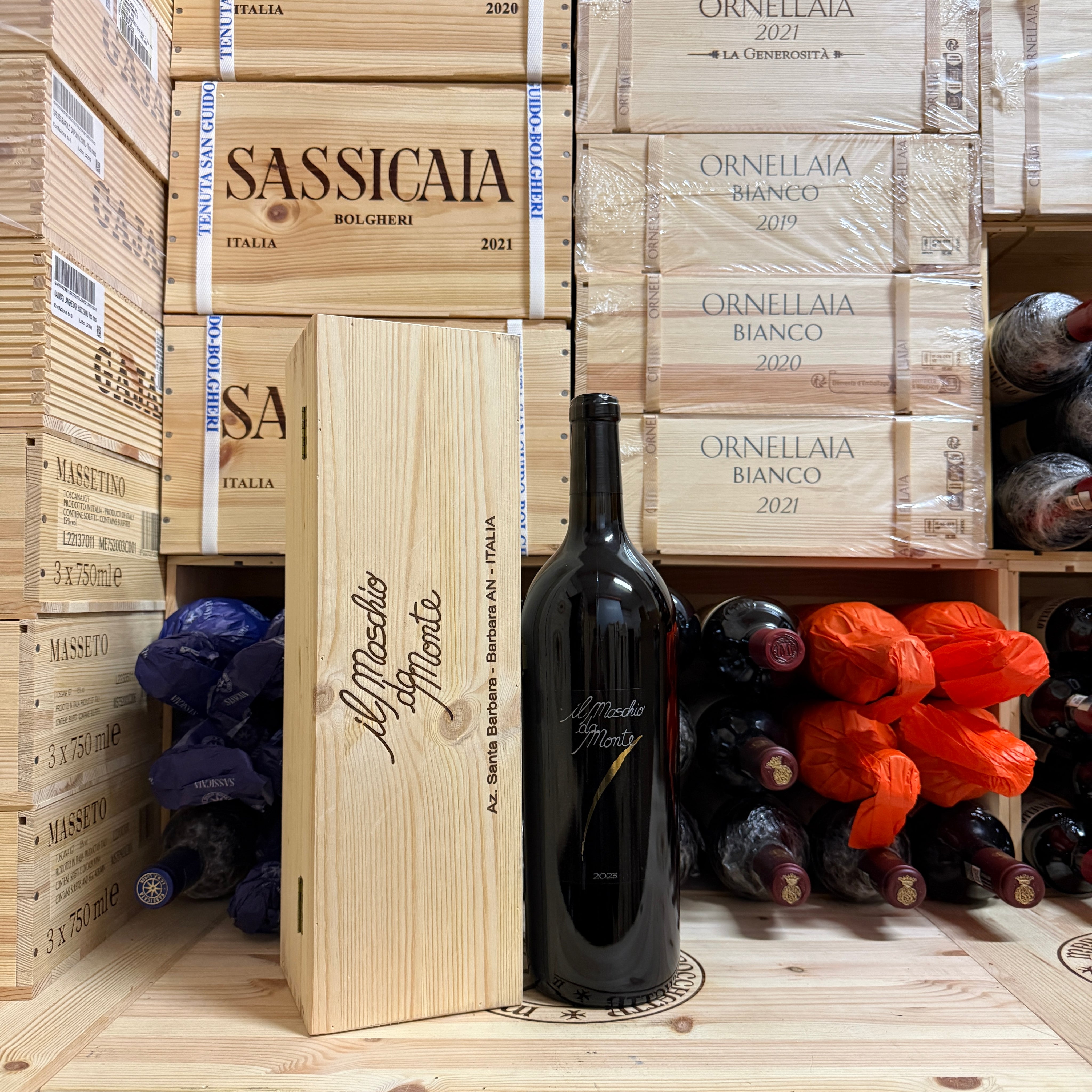 Il Maschio da Monte 2023 Magnum Rosso Piceno DOC Santa Barbara - in Cassa Legno
