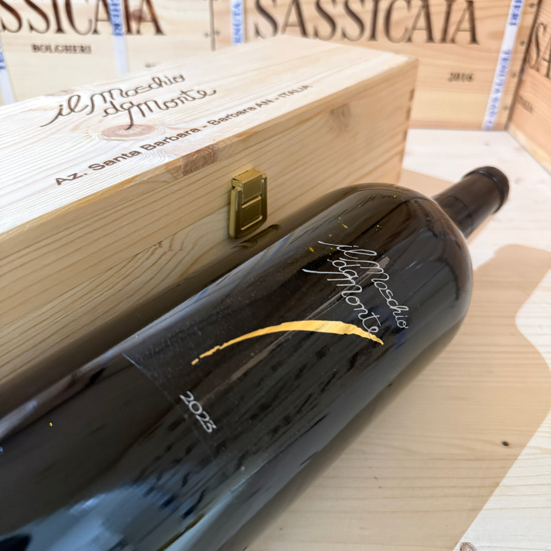Il Maschio da Monte 2023 Magnum Rosso Piceno DOC Santa Barbara - in Cassa Legno