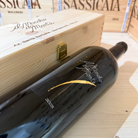 Il Maschio da Monte 2023 Magnum Rosso Piceno DOC Santa Barbara - in Cassa Legno