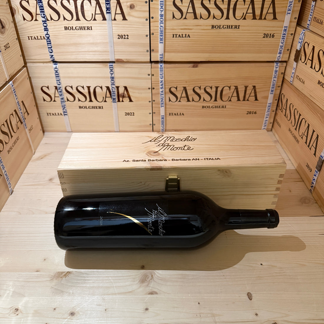 Il Maschio da Monte 2023 Magnum Rosso Piceno DOC Santa Barbara - in Cassa Legno