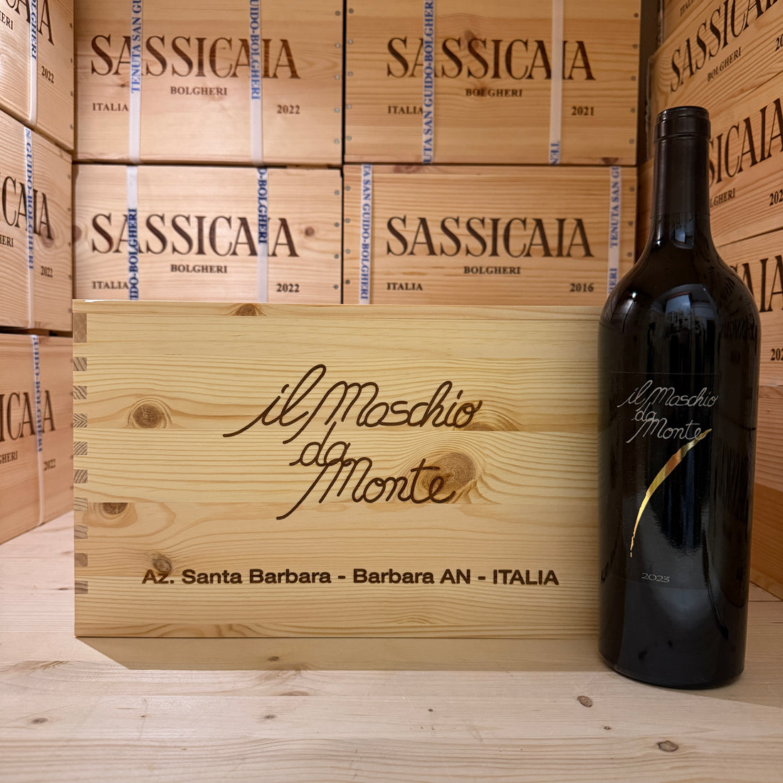 Il Maschio da Monte 2023 Rosso Piceno DOC Santa Barbara - Cassa Legno 6 Bottiglie