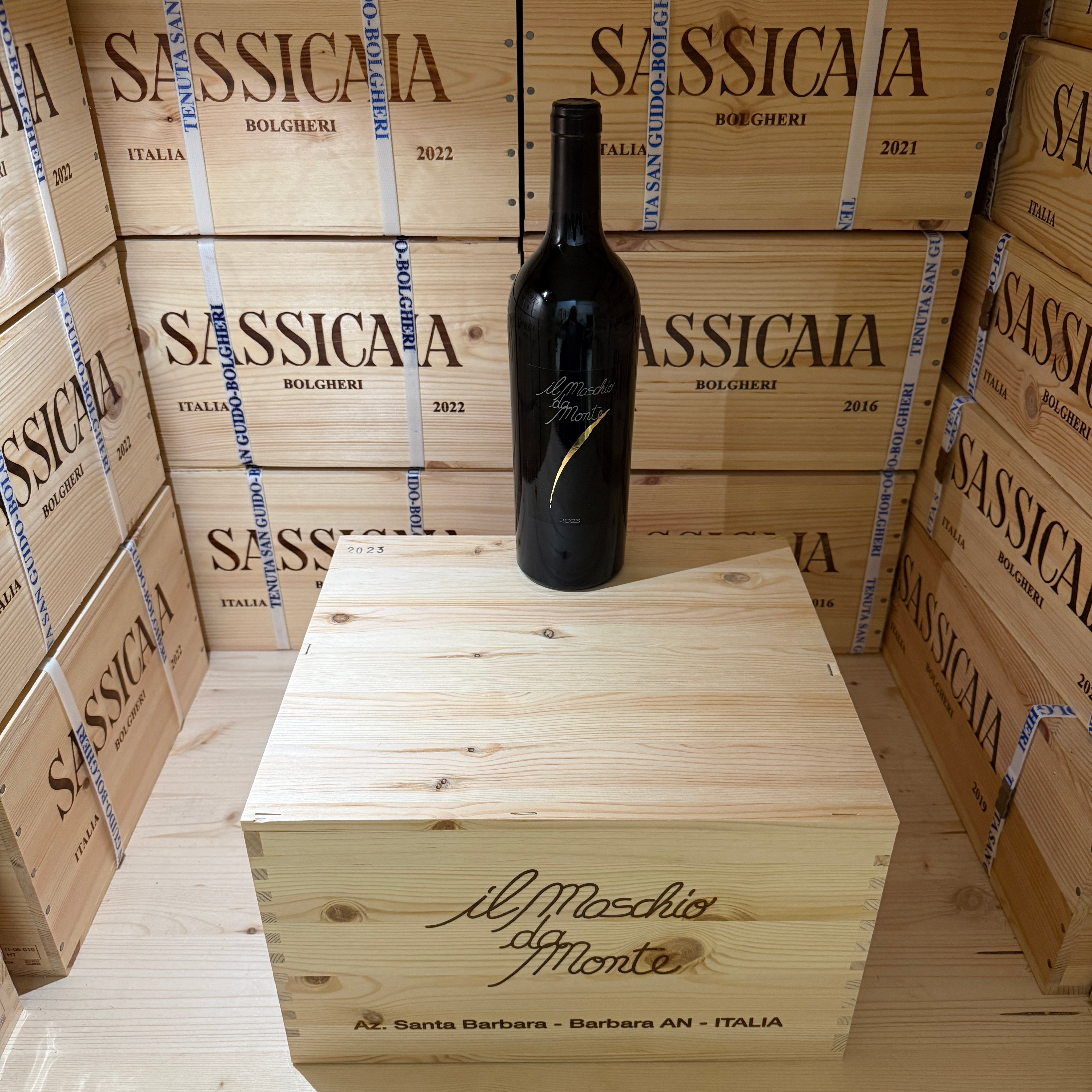 Il Maschio da Monte 2023 Rosso Piceno DOC Santa Barbara - Cassa Legno 6 Bottiglie