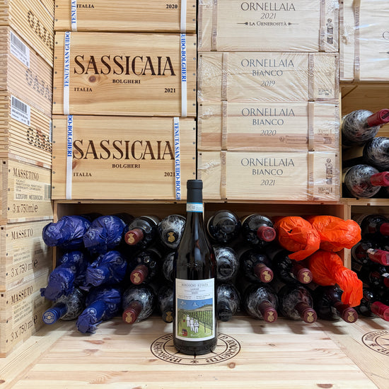 Langhe Rosso DOC 2023 Borgogno Rivata