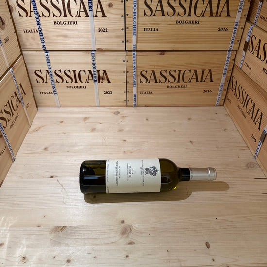 Langhe Sauvignon DOC 2024 Marchesi di Gresy