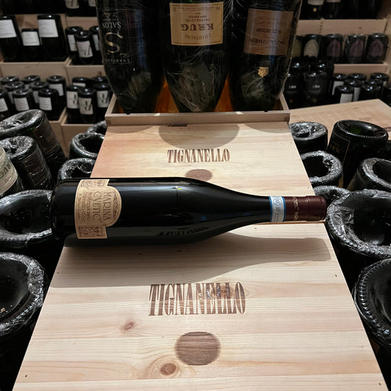 Montepulciano d’Abruzzo Marina Cvetic 2019 Masciarelli
