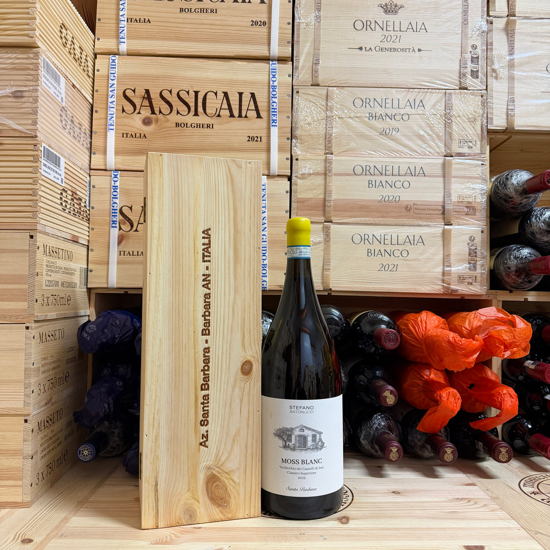 Moss Blanc 2019 Magnum Santa Barbara Verdicchio dei Castelli di Jesi DOC Classico Superiore - in Cassa Legno