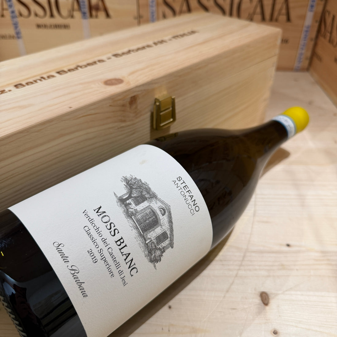 Moss Blanc 2019 Magnum Santa Barbara Verdicchio dei Castelli di Jesi DOC Classico Superiore - in Cassa Legno