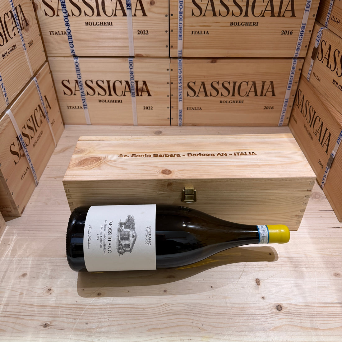 Moss Blanc 2019 Magnum Santa Barbara Verdicchio dei Castelli di Jesi DOC Classico Superiore - in Cassa Legno