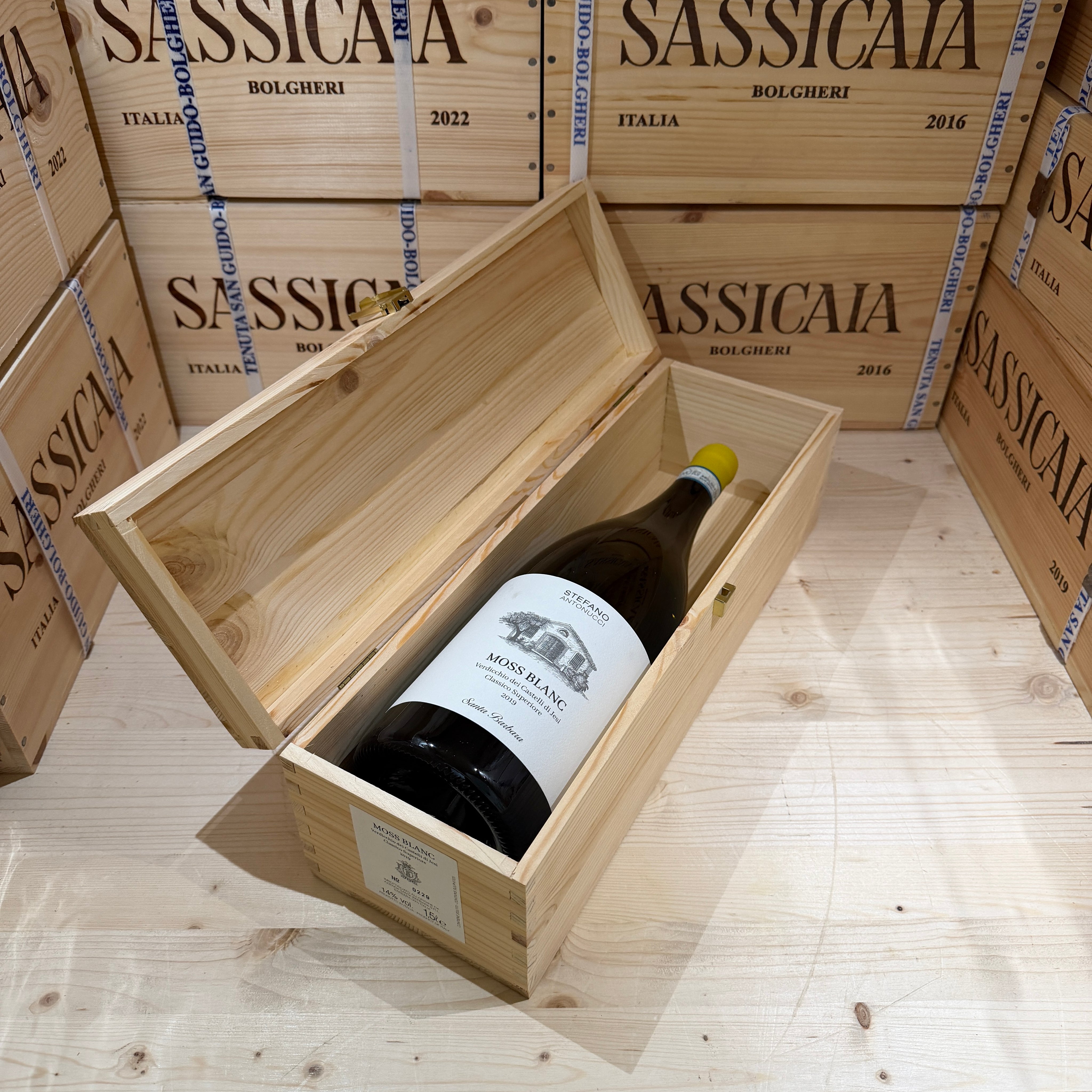 Moss Blanc 2019 Magnum Santa Barbara Verdicchio dei Castelli di Jesi DOC Classico Superiore - in Cassa Legno