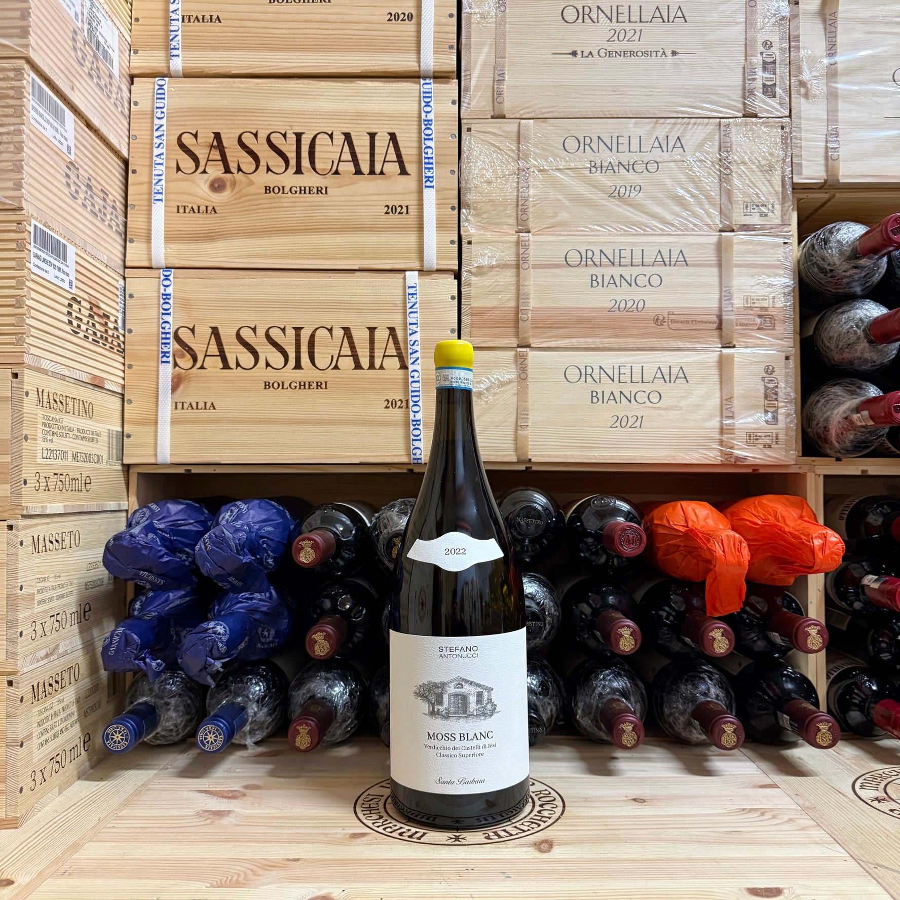 Moss Blanc 2022 Magnum Santa Barbara Verdicchio dei Castelli di Jesi DOC Classico Superiore