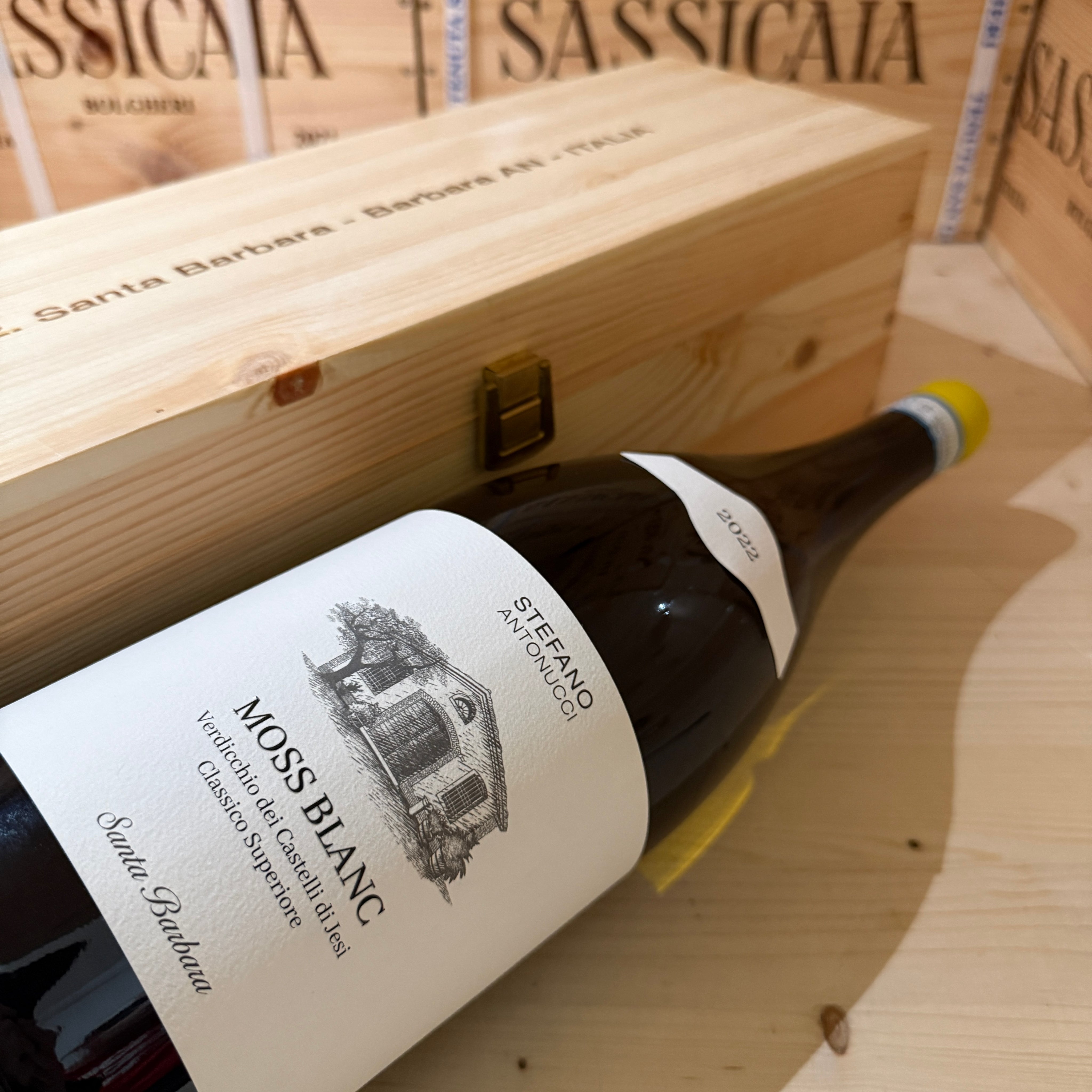 Moss Blanc 2022 Magnum Santa Barbara Verdicchio dei Castelli di Jesi DOC Classico Superiore - in Cassa Legno