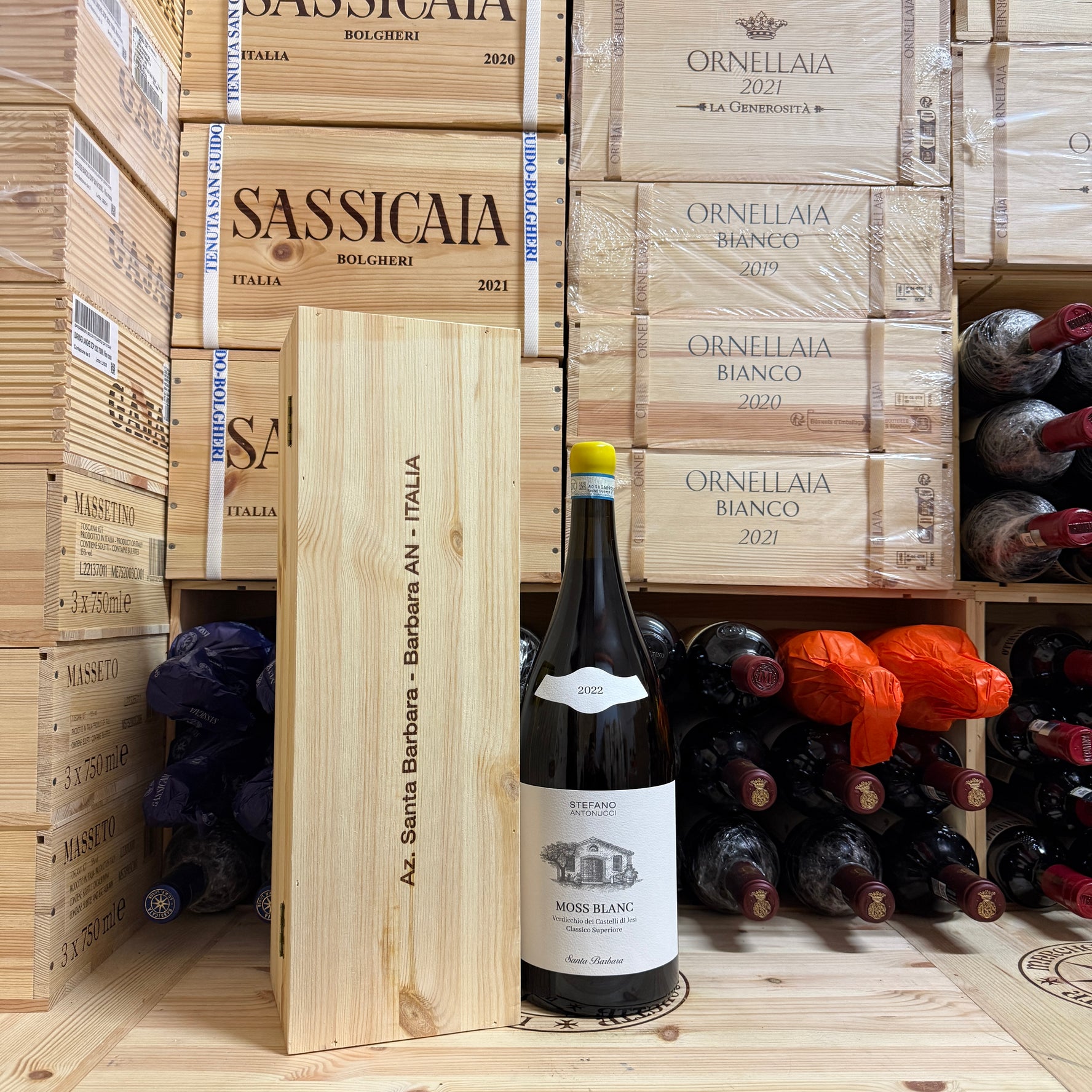 Moss Blanc 2022 Magnum Santa Barbara Verdicchio dei Castelli di Jesi DOC Classico Superiore - in Cassa Legno