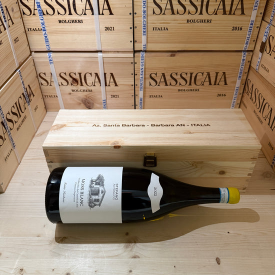 Moss Blanc 2022 Magnum Santa Barbara Verdicchio dei Castelli di Jesi DOC Classico Superiore - in Cassa Legno