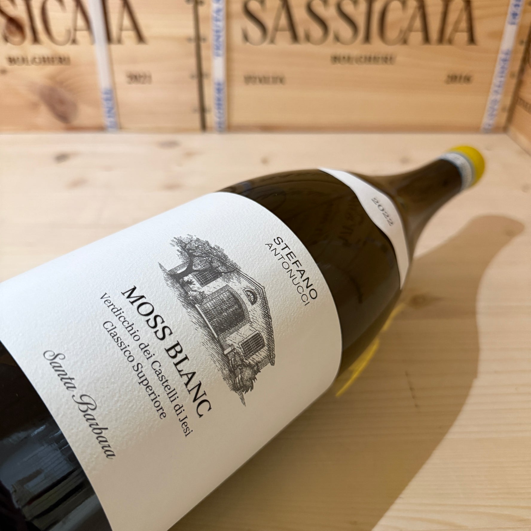 Moss Blanc 2022 Magnum Santa Barbara Verdicchio dei Castelli di Jesi DOC Classico Superiore