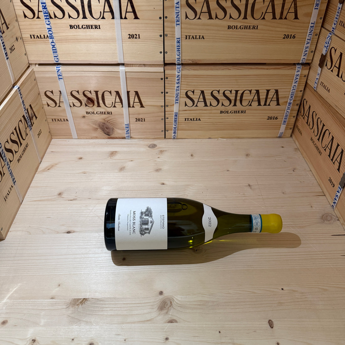 Moss Blanc 2022 Santa Barbara Verdicchio dei Castelli di Jesi DOC Classico Superiore