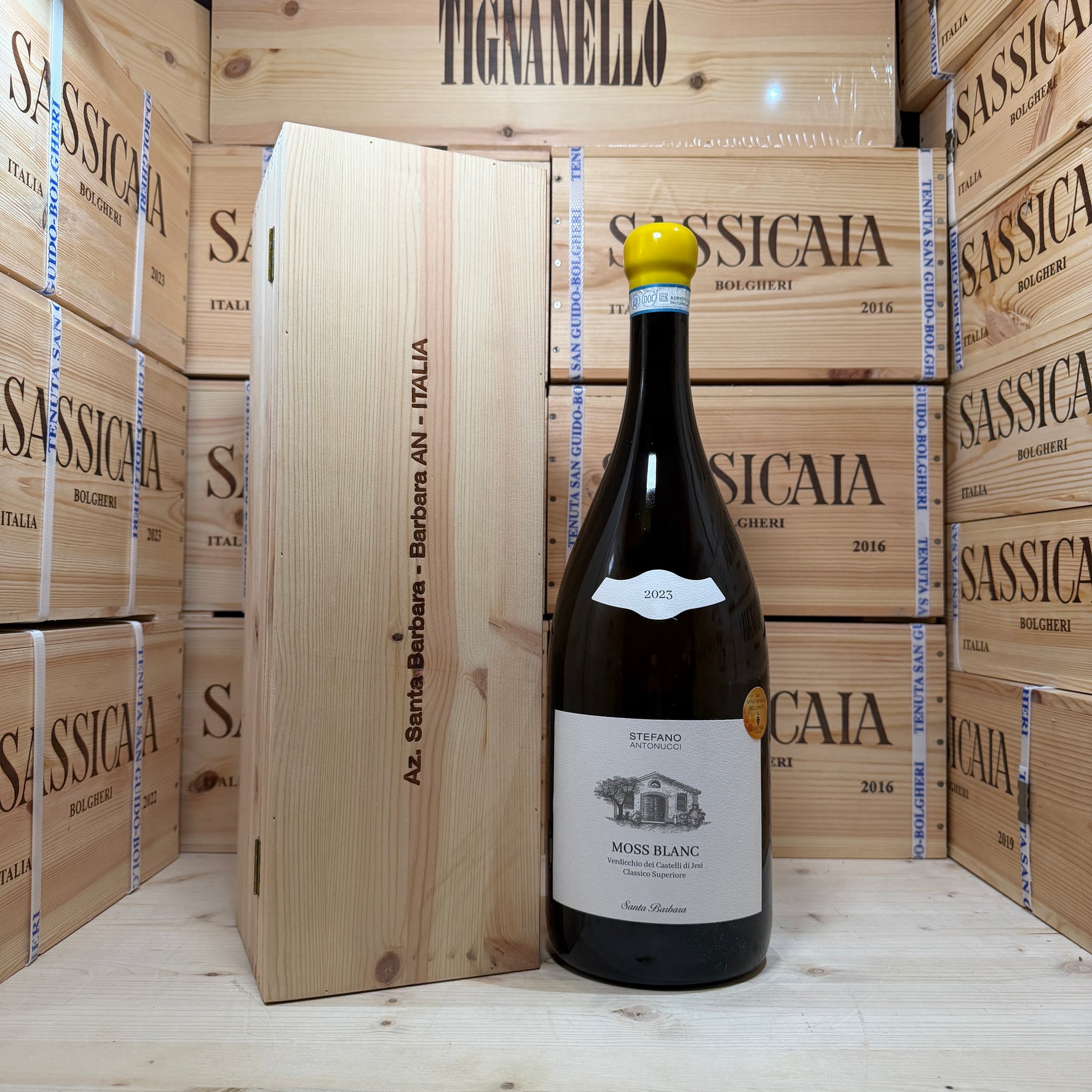 Moss Blanc 2023 Jeroboam Santa Barbara