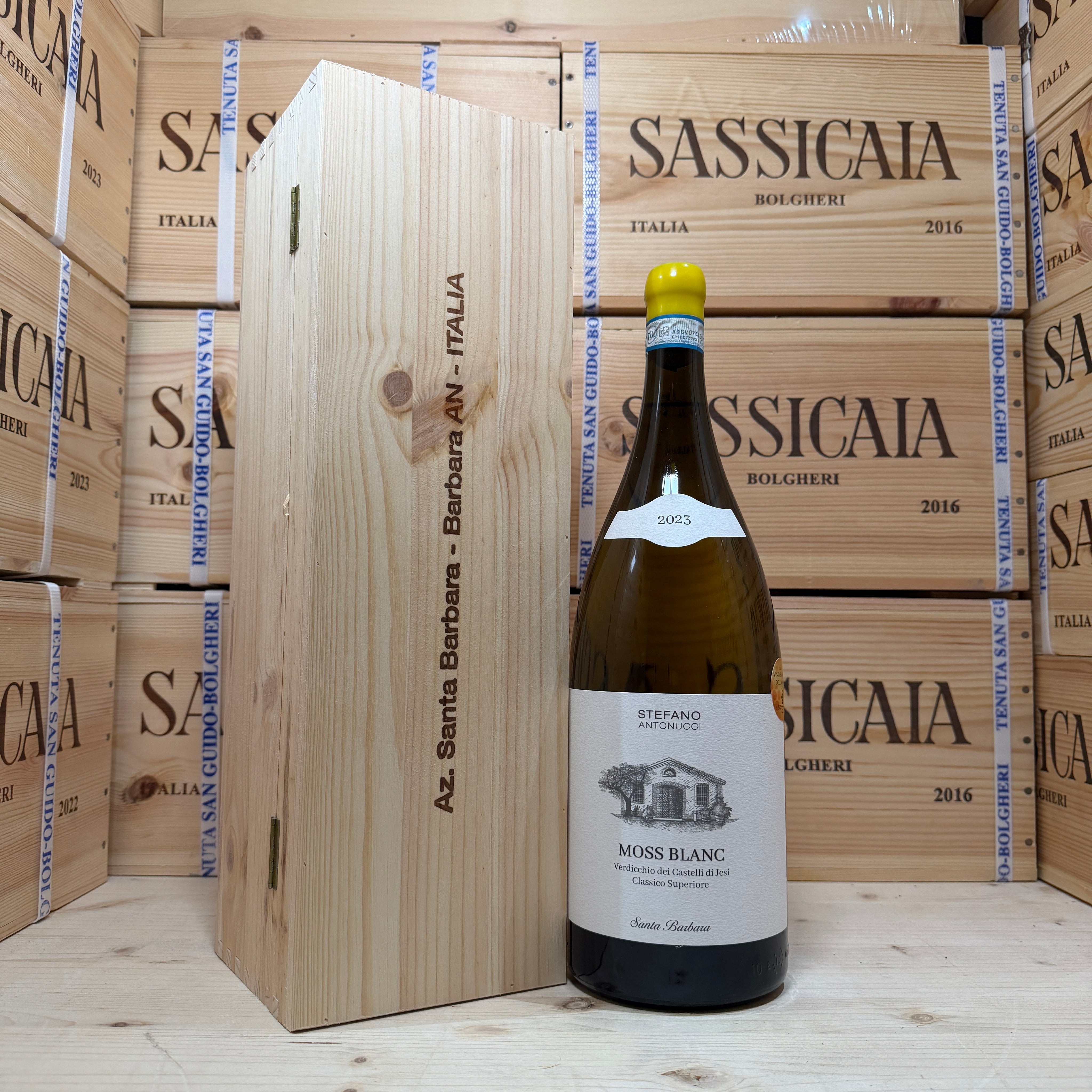 Moss Blanc 2023 Magnum Santa Barbara