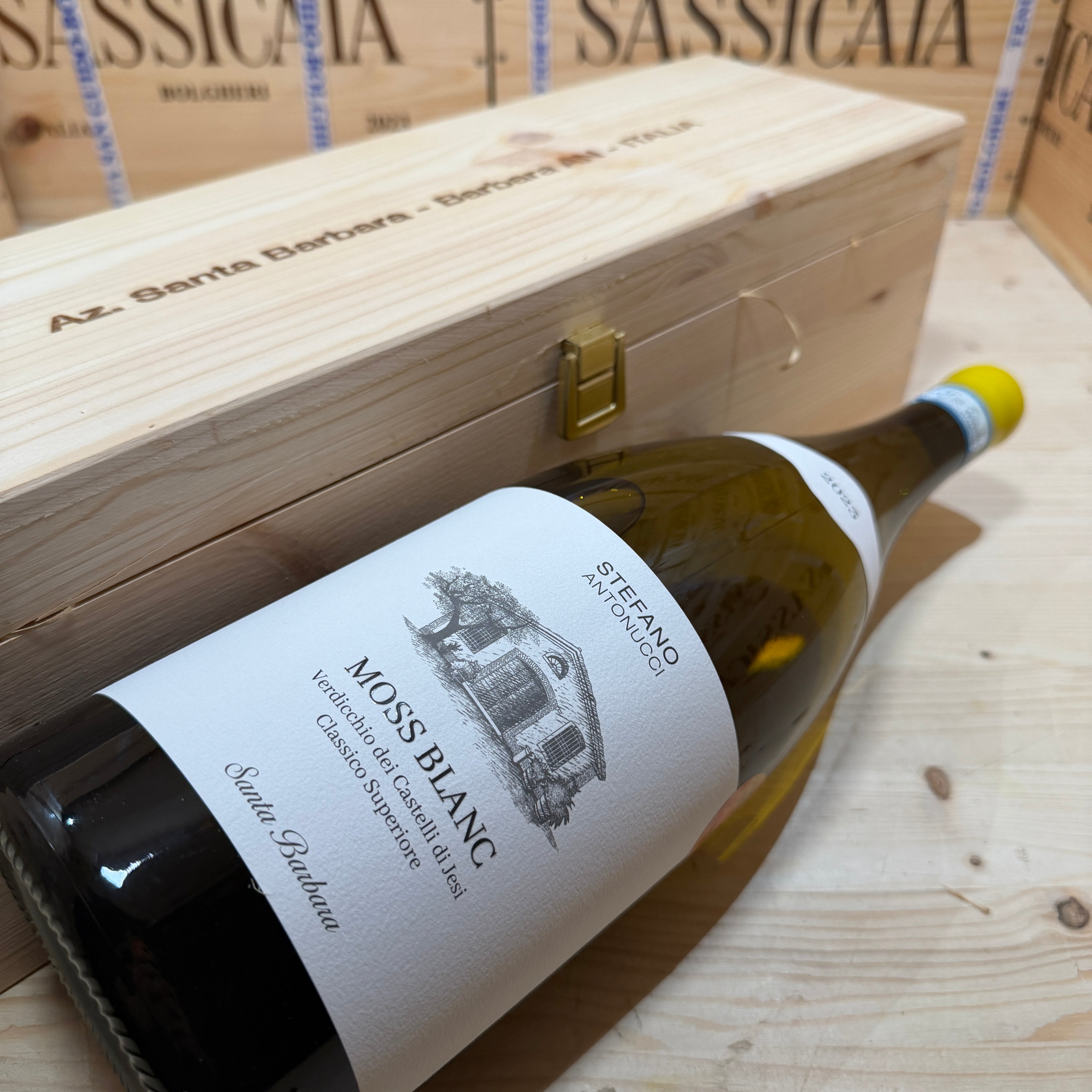 Moss Blanc 2023 Magnum Santa Barbara