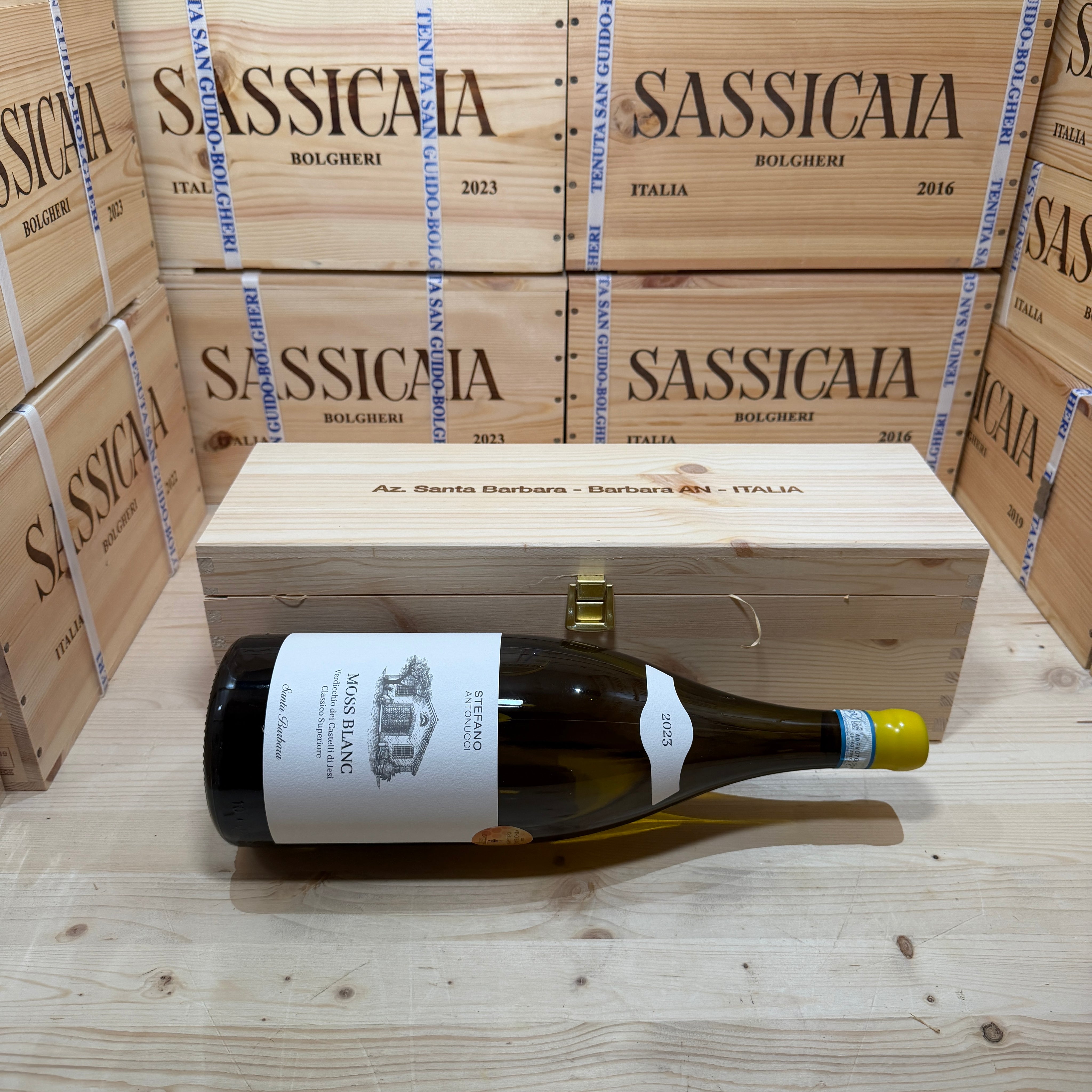 Moss Blanc 2023 Magnum Santa Barbara