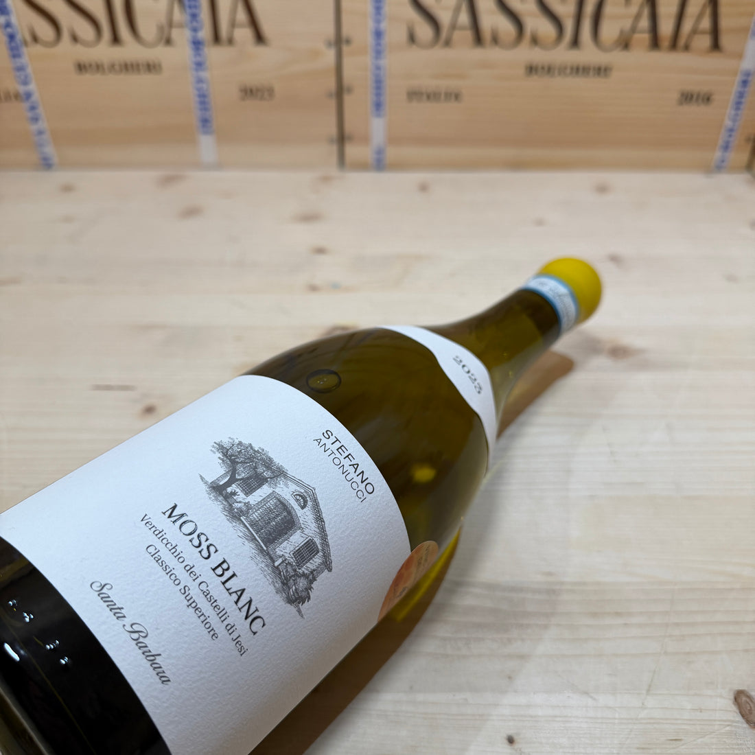 Moss Blanc 2023 Santa Barbara Verdicchio