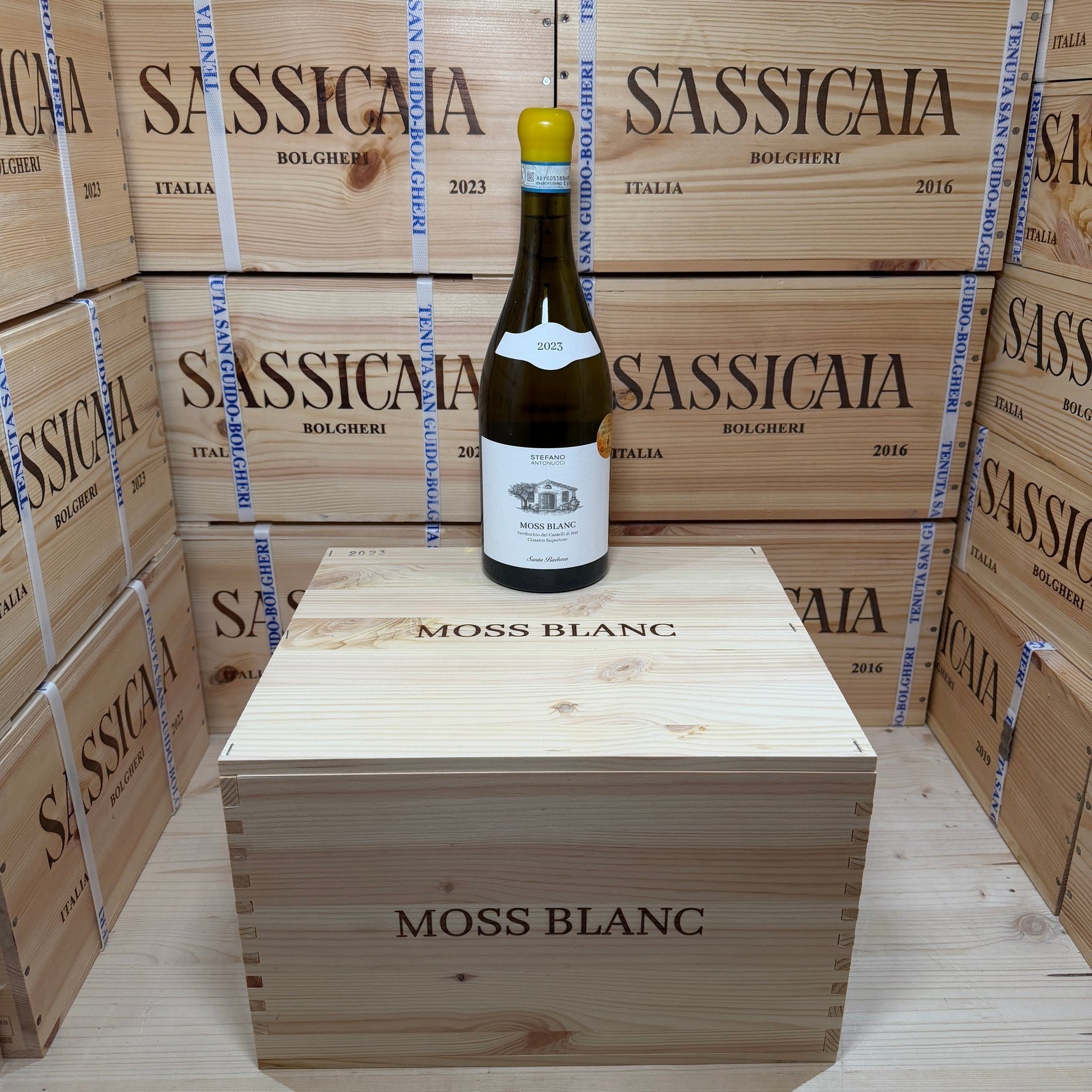 Moss Blanc 2023 Santa Barbara Verdicchio
