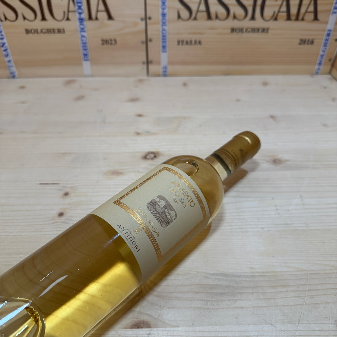Muffato della Sala 2024