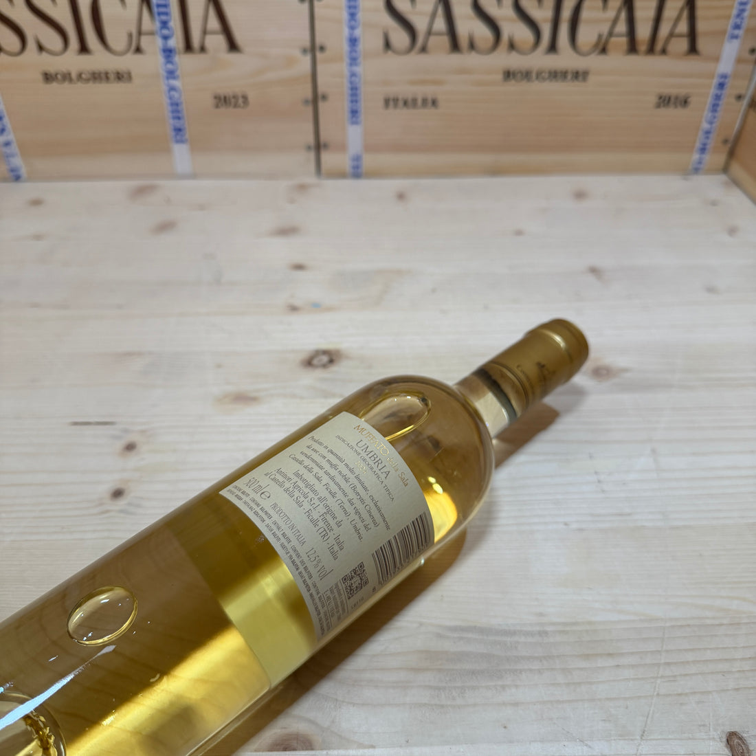 Muffato della Sala 2024