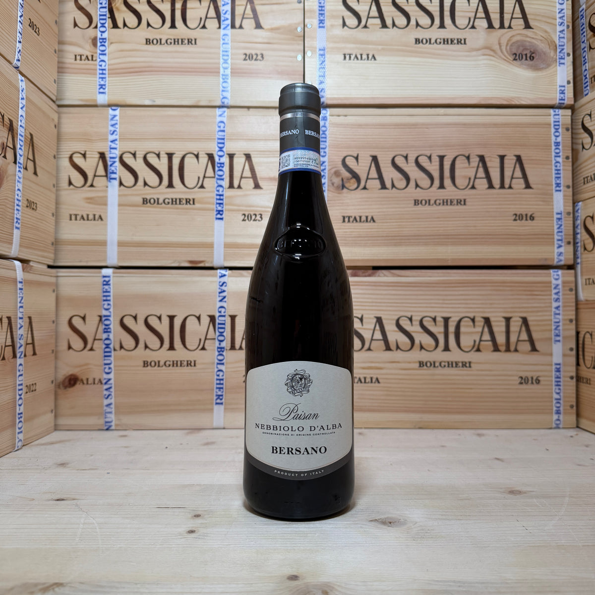 Nebbiolo D'Alba Paisan 2024 Bersano