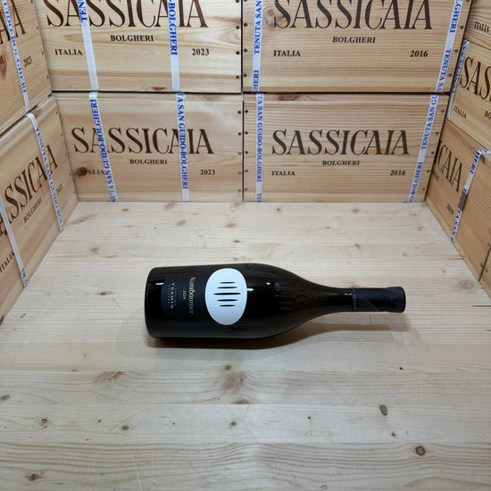 Nussbaumer 2024 Tramin