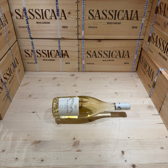Occhione 2025 Toscana IGT Bianco Campo di Sasso
