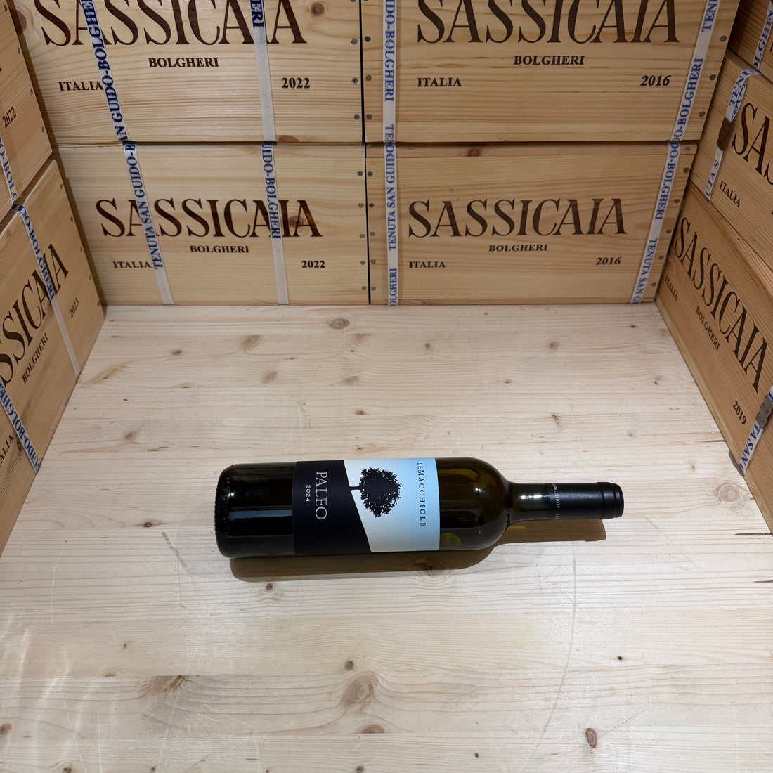 Paleo Bianco 2024 Le Macchiole