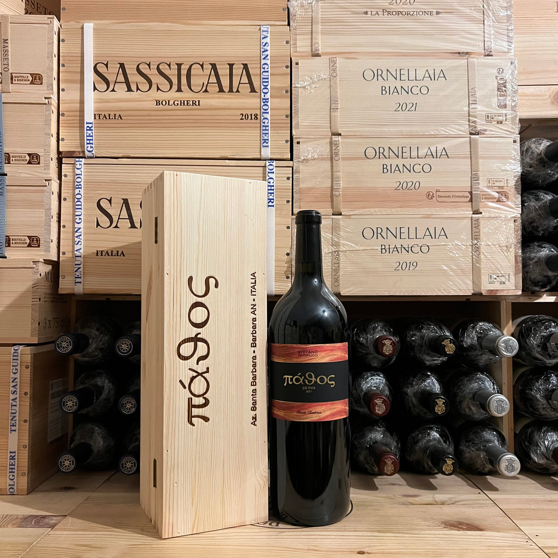 Pathos 2021 Magnum Marche Rosso IGT Santa Barbara in Cassa Legno