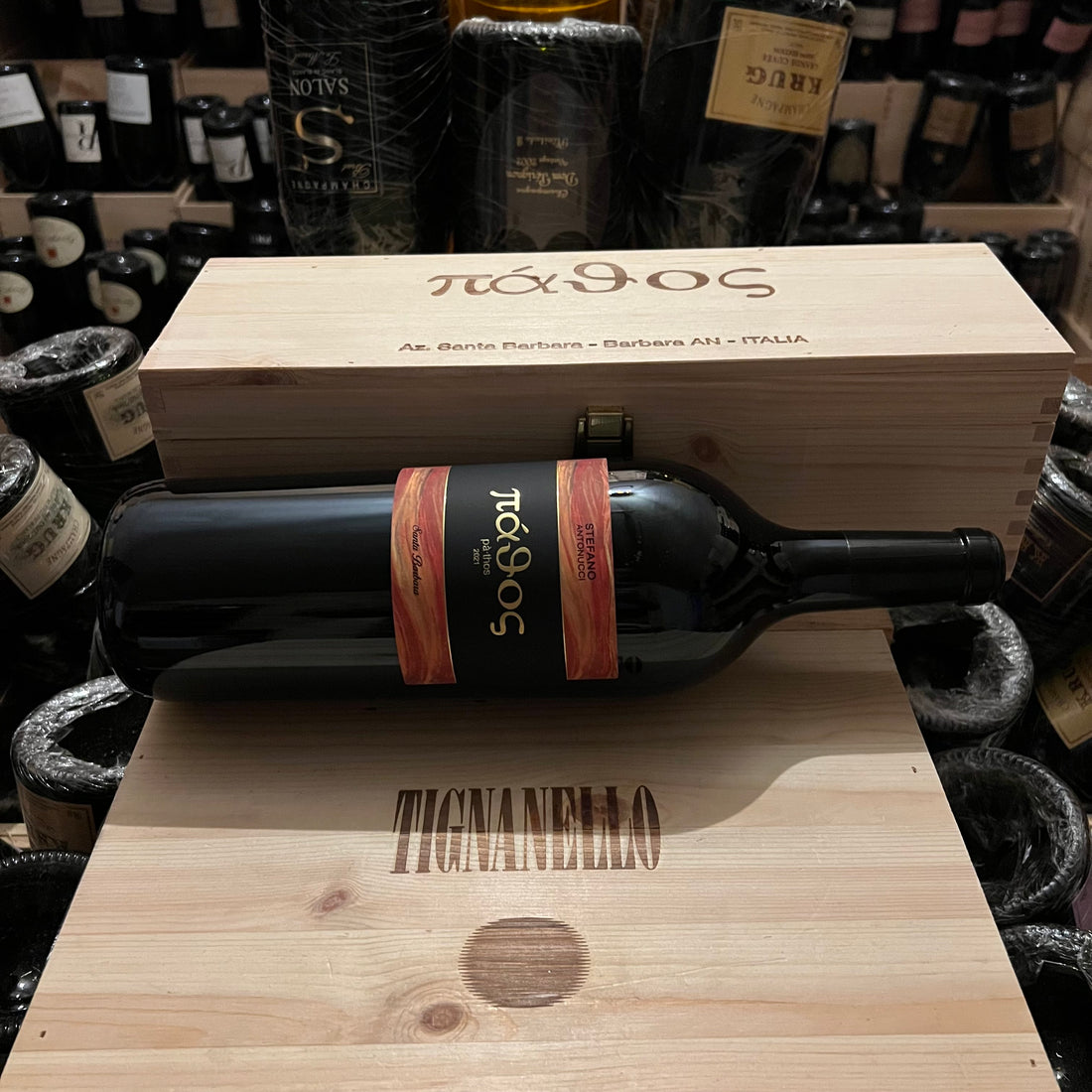 Pathos 2021 Magnum Marche Rosso IGT Santa Barbara in Cassa Legno
