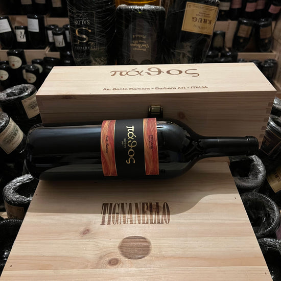 Pathos 2021 Magnum Marche Rosso IGT Santa Barbara in Cassa Legno