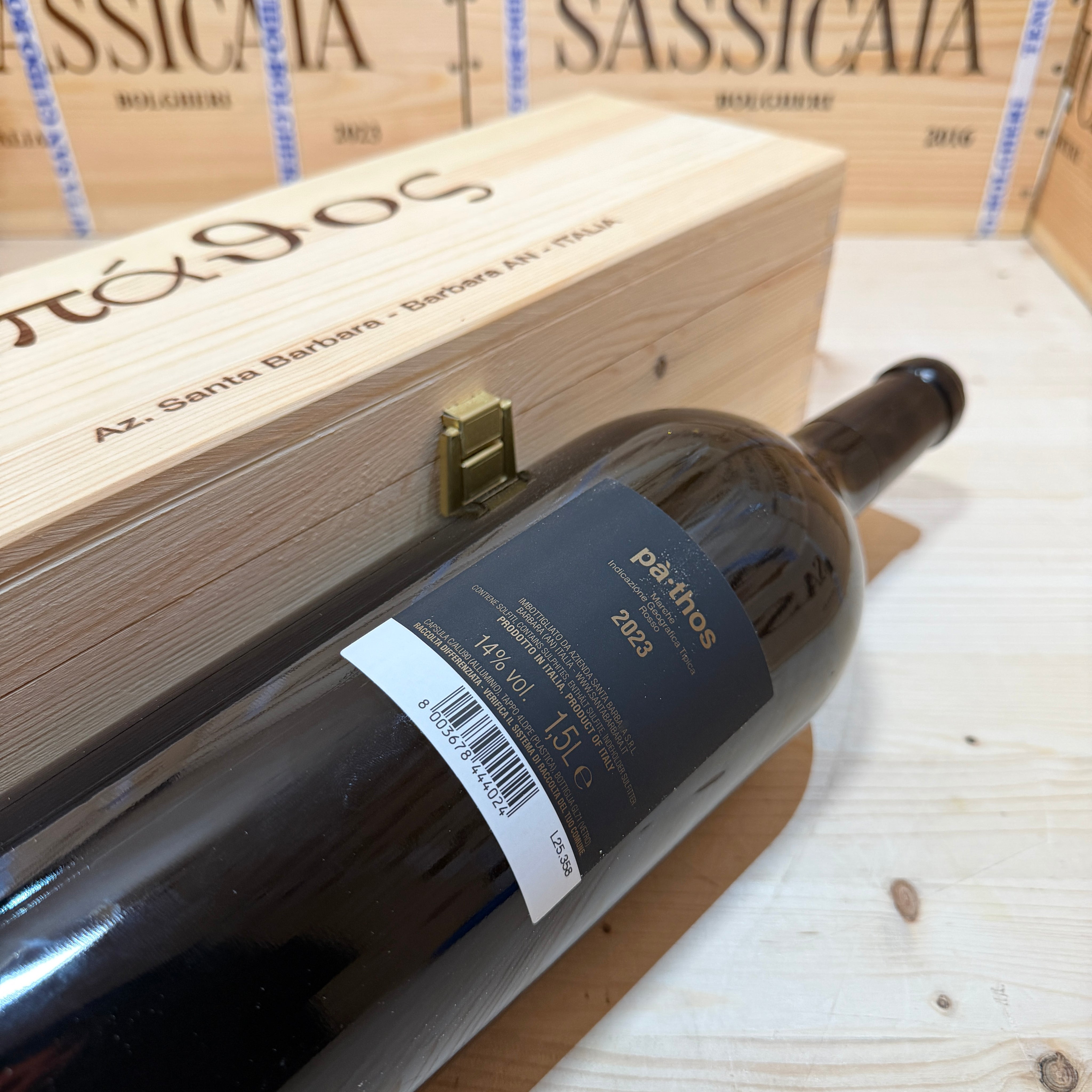 Pathos 2023 Magnum Santa Barbara