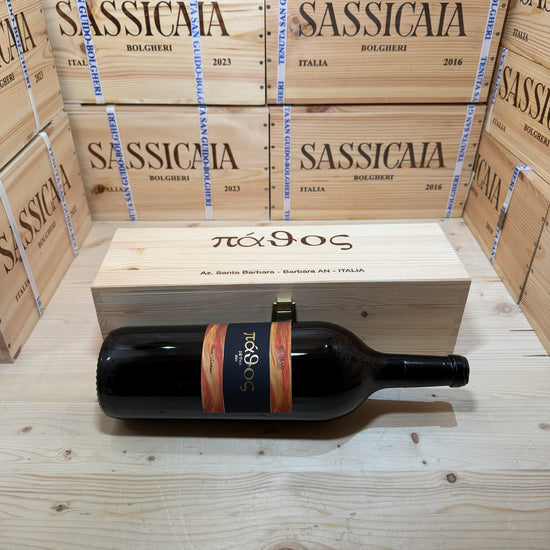 Pathos 2023 Magnum Santa Barbara